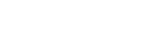 Winged Boots